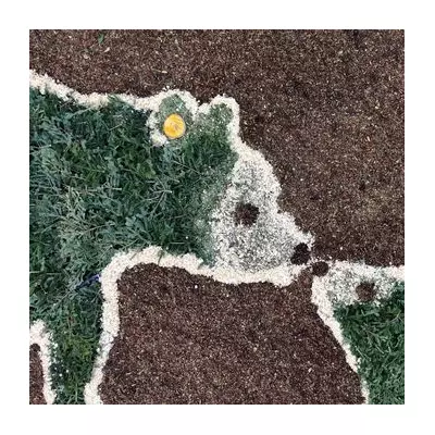 Zoo Unveils Giant Bear Sculpture from 4,000 Recycled Christmas Trees