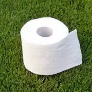 3 Genius Ways to Reuse Toilet Roll Tubes in Your Garden This January