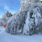 79 UK Areas Brace for 1-6 Inches of Snow on Tuesday, Met Office Warns