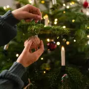 Amazon's £13 'Sturdy' Christmas Tree Storage Bag Sells 10,000+ Units