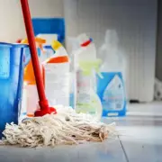 Amazon's £17 'Clever' Spray Mop Leaves Floors Shiny in Boxing Day Sale