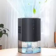 Amazon's £25 Dehumidifier Praised as 'Total Win' by Over 1,000 UK Shoppers