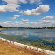 Best Family Walks Near Birmingham: Brummie Mummies' Top Picks