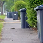Binman's Warning: One Common Item Could Get Your Recycling Rejected