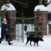 Birmingham Braces for 13-Hour Snow Storm: Met Office Issues Amber Alert