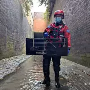 Birmingham Kitten Survives 3 Days in Sewer: Dramatic RSPCA Rescue