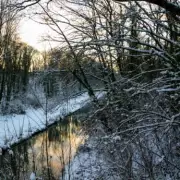 Birmingham Snow Timeline: 11 Inches to Hit from 5pm Thursday