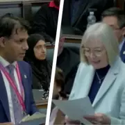 Birmingham's Environment Chief Survives No Confidence Vote Amid Ongoing Bins Strike