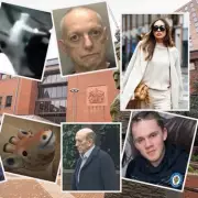 Birmingham's Most Shocking Court Cases of 2025: From Stalkers to Child Snatchers