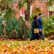 Birmingham's St Paul's Square to Glow with Magical Firefly Art Installation