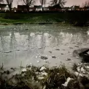 Body of Missing Woman Eileen Recovered from Frozen Sheffield Pond