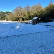 Children Risk Lives on Frozen Sutton Park Lake, Ignoring Ice Danger Warnings