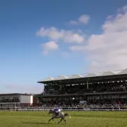 Claim Free Horse Racing Tickets Worth £58 at Warwick & UK Courses