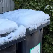 Dudley Council's Winter Bin Catch-Up: Residents Asked to Leave Rubbish Out