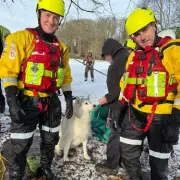 Husky rescued from frozen Birmingham lake as fire service issues urgent warning