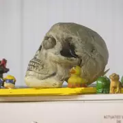 Inside Birmingham's Sewage Plant: The Shocking Items Flushed Daily