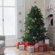 London Fire Brigade Issues Urgent Warning Over Christmas Tree Burning