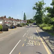 Major Cannabis Farm Uncovered in Tamworth Property, Man Arrested