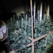 Man Arrested After Police Uncover Cannabis Farm in Dudley House