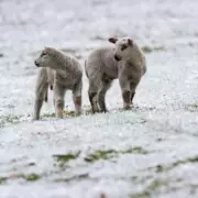 Met Office Issues Snow Warning for Multiple UK Regions This Sunday