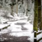 Midlands Braces for February Snowfall: Up to 4.8cm Forecast for Staffordshire