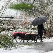 Midlands Braces for Major Snow Onslaught as 36-Hour Blizzard Forecast