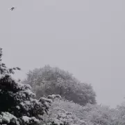 Midlands Braces for Sunday Snowfall: -3C Temperatures and 3cm Snow Forecast