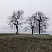 Midlands Braces for Third Major Snowfall This January as Weather Maps Reveal Timeline