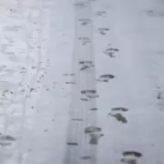 Midlands Motorists Urged to Prepare Winter Car Kits Ahead of Wednesday Ice Warning