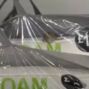 Mouse Discovered Inside Sealed Pillow at Birmingham Primark Store