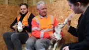 Newborn Goats Rescued from Ashford Bin: Veolia and Biffa's Fight for Life