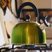 Ofgem Issues Urgent Guidance for Energy Customers Facing Supply Issues