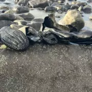Over 200 'Victorian' Shoes Wash Up on Welsh Beach, Sparking Mystery