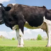 Oxbury Bank Ranks 3rd in UK Tech Growth with 399% Surge