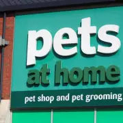 Pets at Home Retail Sales Decline Eases Following Aggressive Price Cuts Strategy