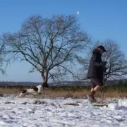 Snow Bomb Alert: Birmingham Braces for Early Blast and Torrential Rain