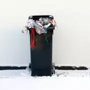 Solihull Festive Bin Collection Changes: Key Dates for Christmas 2025