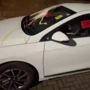Southall resident pelts cars with eggs and flour in fake parking ticket protest
