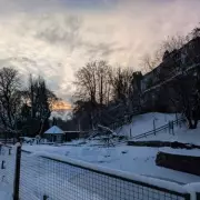 Storm Goretti Forces Two West Midlands Zoos to Extend Weekend Closures