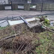 Storm Goretti wrecks Dudley Zoo's flamingo enclosure, sparking £75k fundraiser