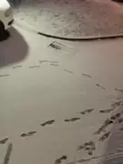 Stunning Reader Photos Capture Snow-Hit Birmingham & West Midlands