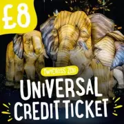 Twycross Zoo Offers £8 Universal Credit Tickets for Lantern Evenings