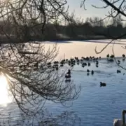 UK Snow Alert: 28 English Counties Braced for Three-Inch Blanket on February 9