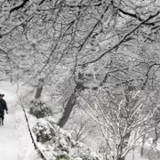 UK 'Snow Bomb' Threatens Rare Freezing Rain Hazard Across England