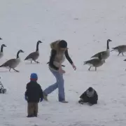 UK Snow Bomb: -6C Freeze and Widespread Snow Forecast for January 6-7