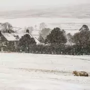 UK Weather Warnings: Met Office Issues Yellow Alerts for Snow, Ice & Flooding
