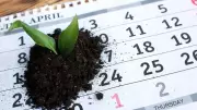 Your Month-by-Month Gardening Guide: Essential Tasks for 2026