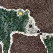 Zoo Unveils Giant Bear Sculpture from 4,000 Recycled Christmas Trees