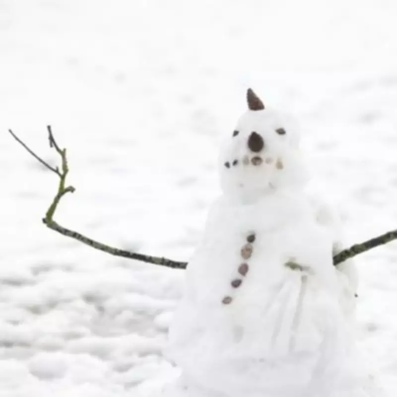 31 English Towns and Cities Brace for Snow as Cold Snap Hits