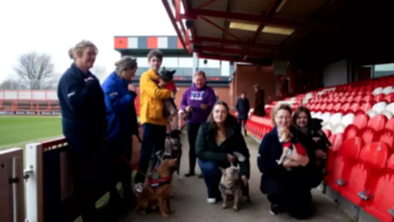 Accrington Stanley Players Rally to Save Historic RSPCA Shelter from Closure